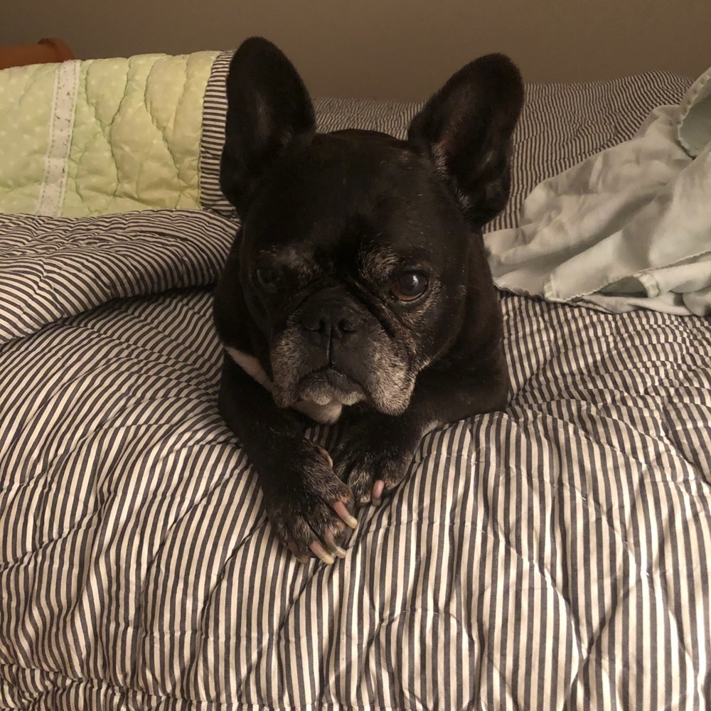 Meet your Posher, Emma